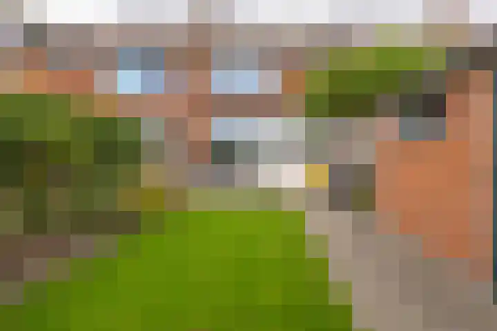 Dintelstraat 7 Oost-Souburg thumbnail 20