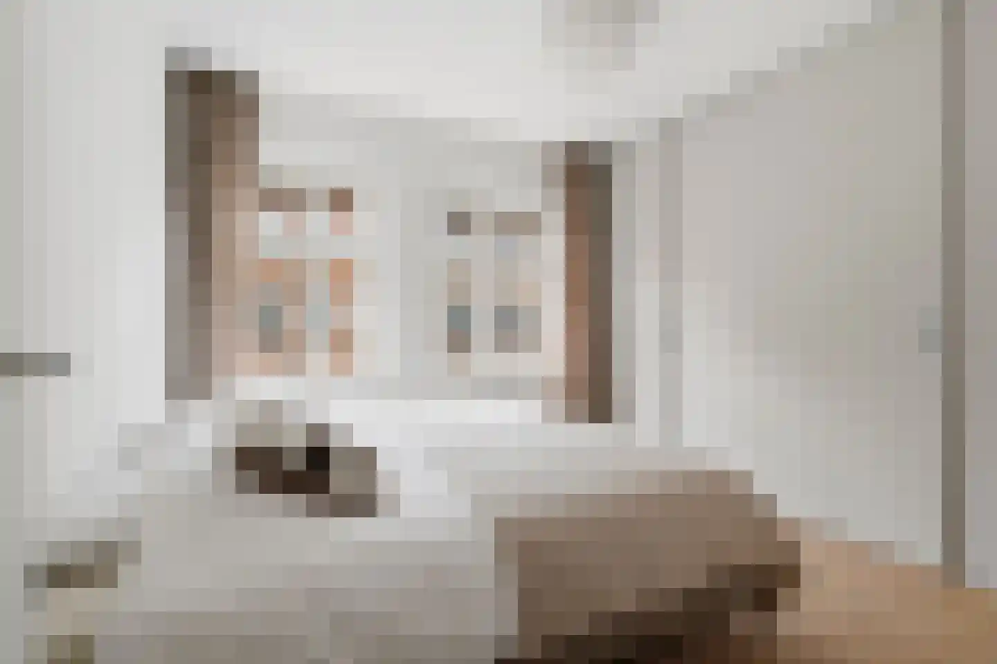 Dintelstraat 74 1 Amsterdam thumbnail 20