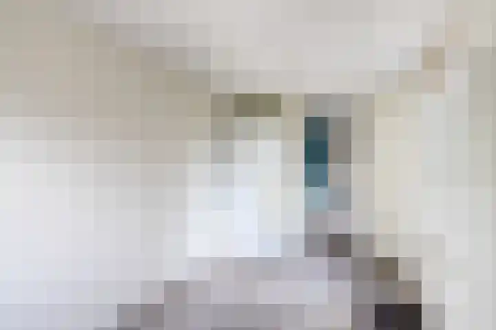 Dintherseschans 9 Nieuwegein thumbnail 21