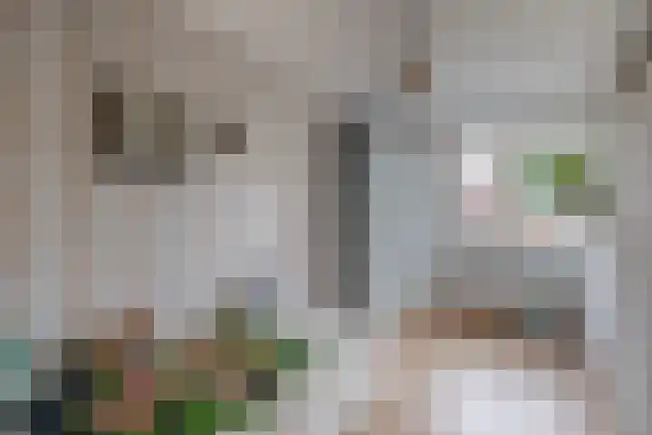 Dintherseschans 9 Nieuwegein thumbnail 31