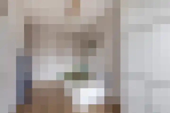 Dintherseschans 9 Nieuwegein thumbnail 32