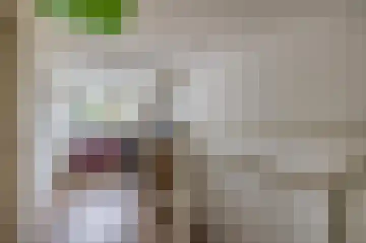 Dintherseschans 9 Nieuwegein thumbnail 36