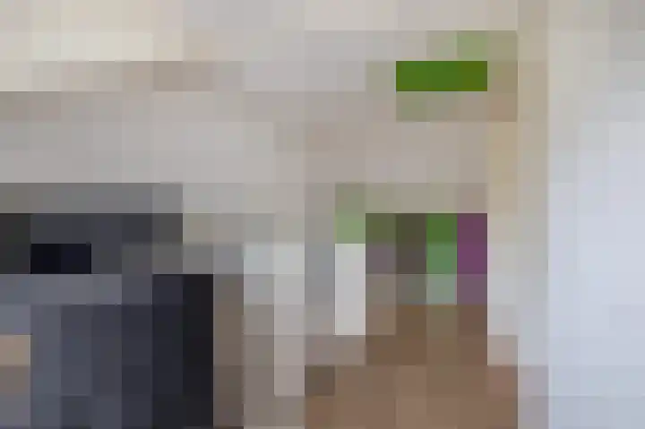 Dintherseschans 9 Nieuwegein thumbnail 37