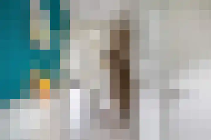 Dintherseschans 9 Nieuwegein thumbnail 6