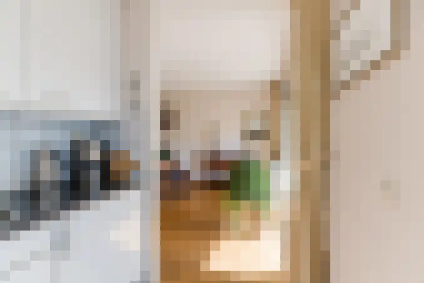 Dinxperlolaan 10 Tilburg thumbnail 11