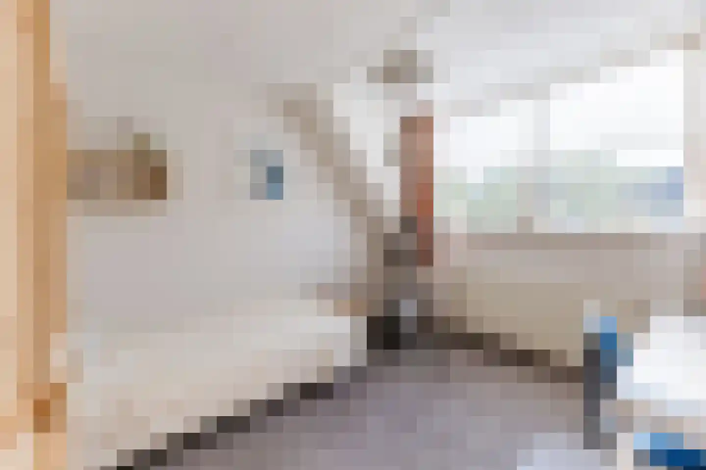 Dinxperlolaan 10 Tilburg thumbnail 18