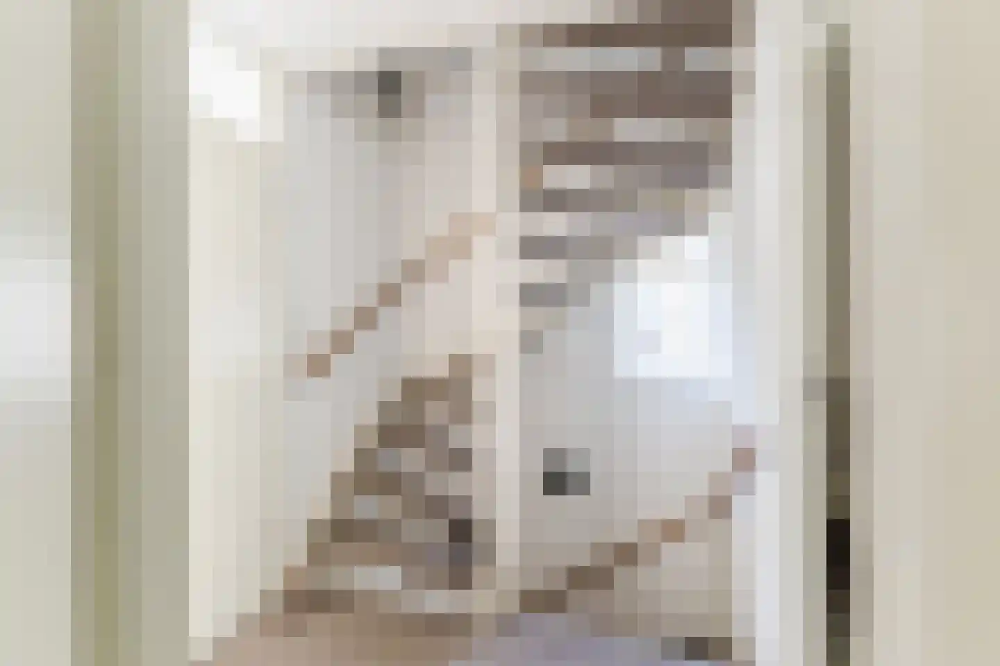 Dinxperlolaan 10 Tilburg thumbnail 22