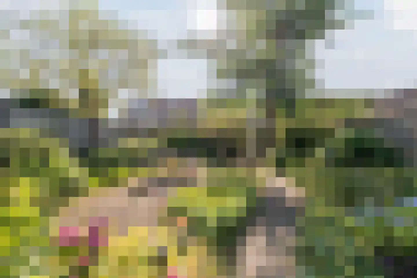 Dinxperlolaan 10 Tilburg thumbnail 4