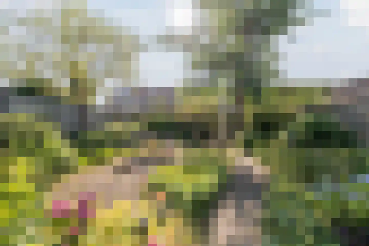 Dinxperlolaan 10 Tilburg thumbnail 4