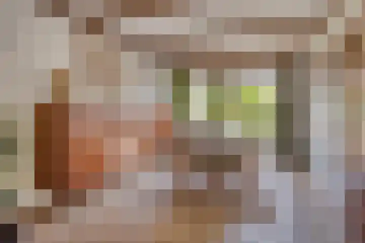 Dinxperlolaan 42 Tilburg thumbnail 12