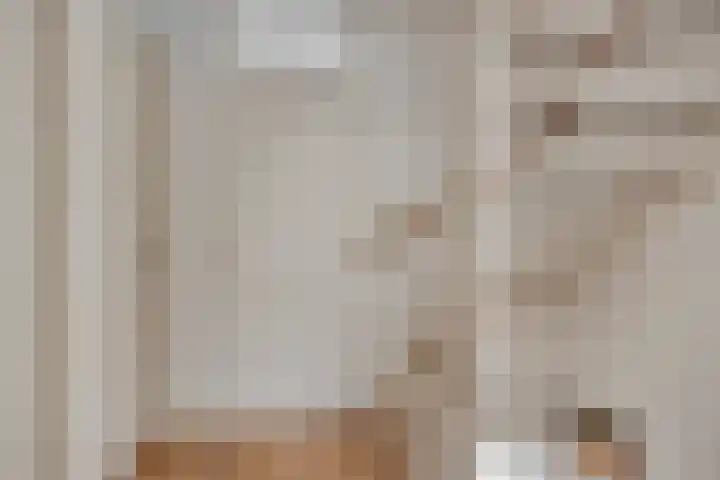 Dinxperlolaan 42 Tilburg thumbnail 26