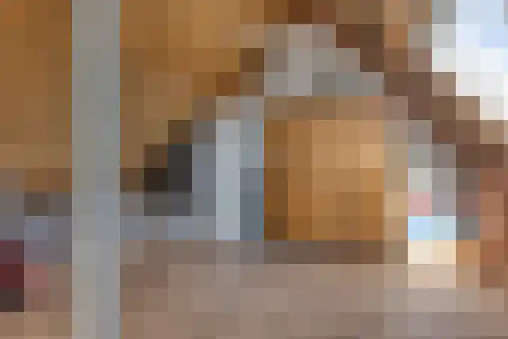 Dinxperlolaan 42 Tilburg thumbnail 27