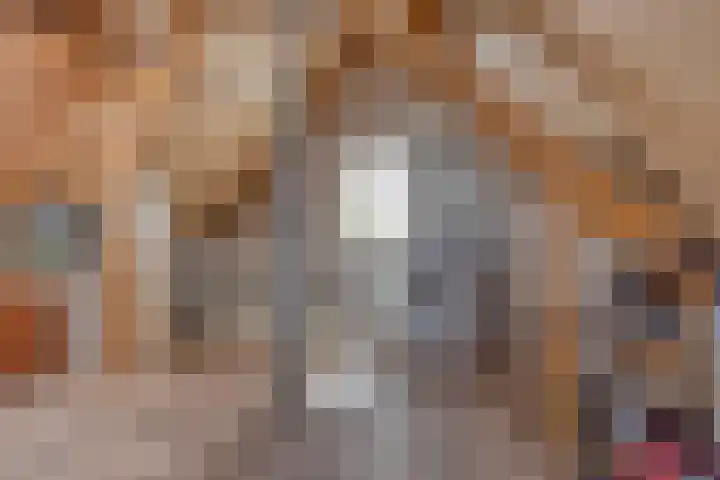 Dinxperlolaan 42 Tilburg thumbnail 28