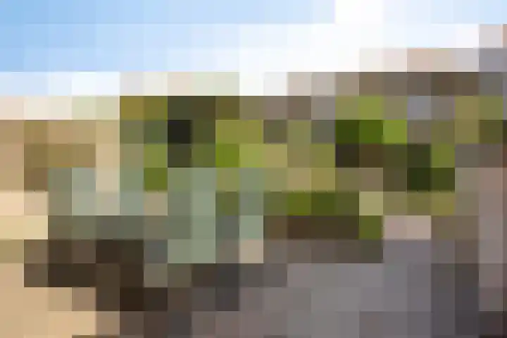 Dinxperlolaan 42 Tilburg thumbnail 29