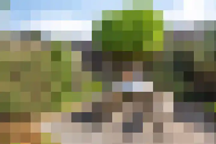 Dinxperlolaan 42 Tilburg thumbnail 32