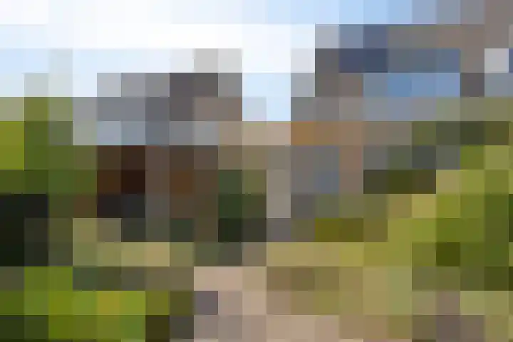 Dinxperlolaan 42 Tilburg thumbnail 33