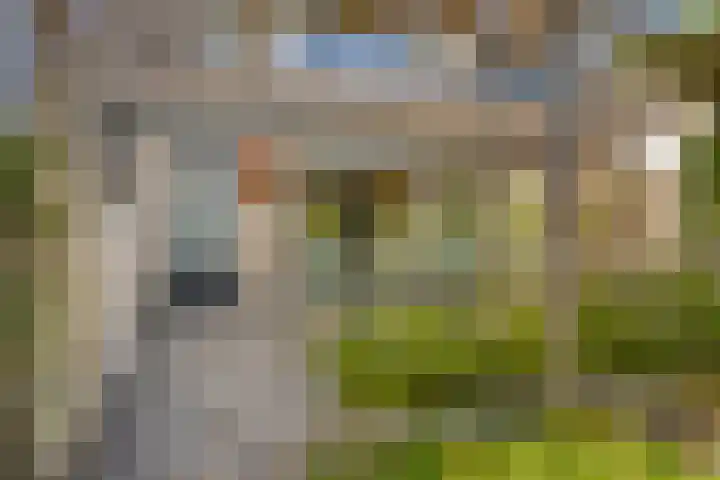 Dinxperlolaan 42 Tilburg thumbnail 35
