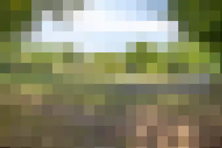 Dinxperlolaan 42 Tilburg thumbnail 39