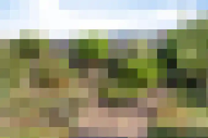 Dinxperlolaan 42 Tilburg thumbnail 4