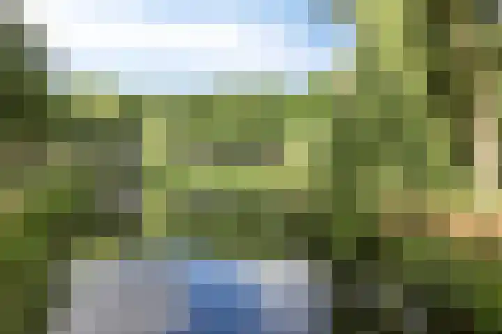 Dinxperlolaan 42 Tilburg thumbnail 41