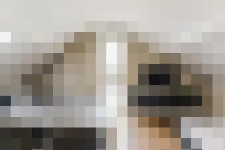Dinxperlolaan 6 Tilburg thumbnail 17
