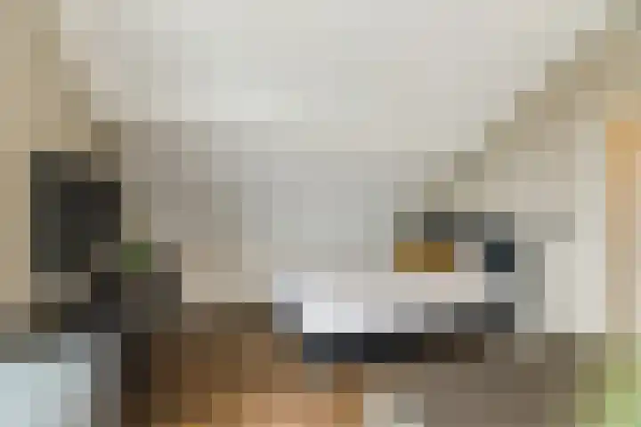 Dinxperlolaan 6 Tilburg thumbnail 18