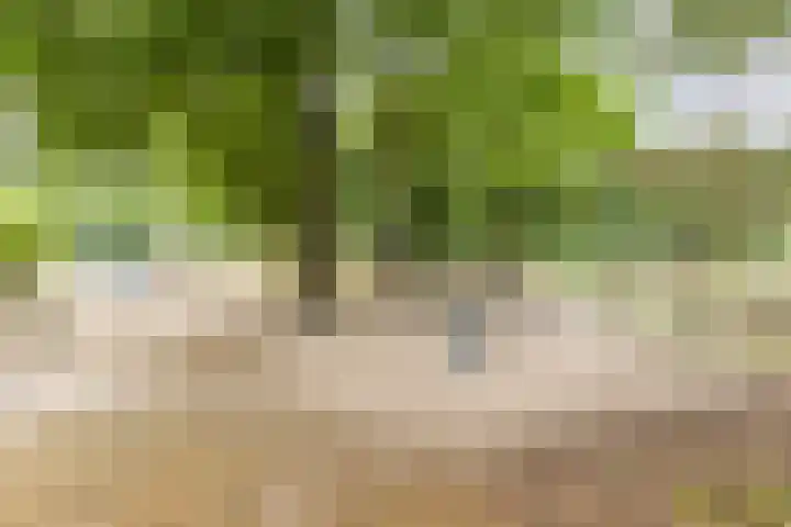 Dinxperlolaan 6 Tilburg thumbnail 29