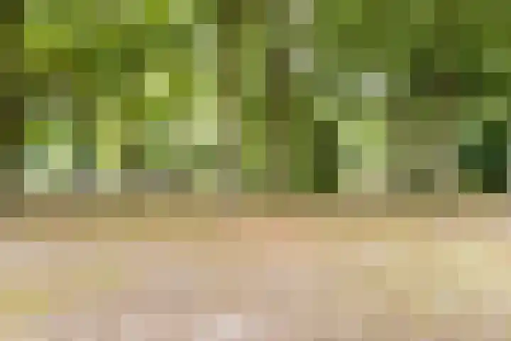 Dinxperlolaan 6 Tilburg thumbnail 30