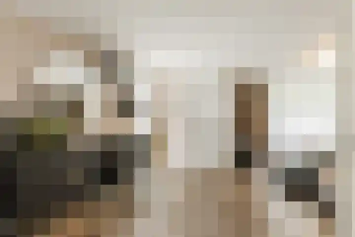Dinxperlolaan 6 Tilburg thumbnail 4