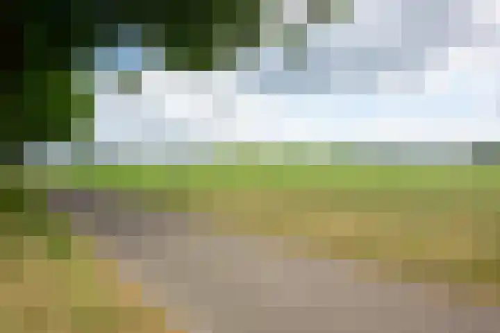 Dinxperlosestraatweg 110 Aalten thumbnail 48