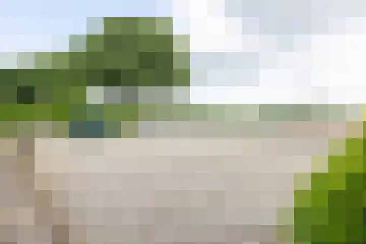 Dinxperlosestraatweg 110 Aalten thumbnail 9