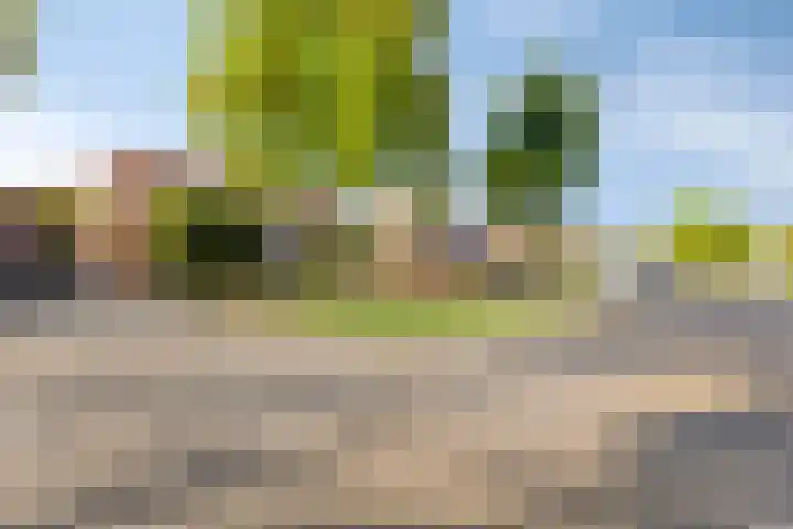 Dinxperlosestraatweg 20 Aalten foto 2