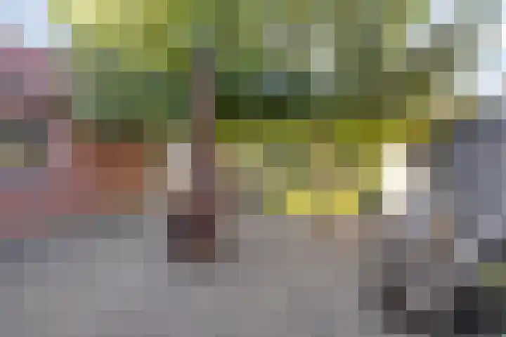 Dinxperlosestraatweg 20 Aalten thumbnail 23