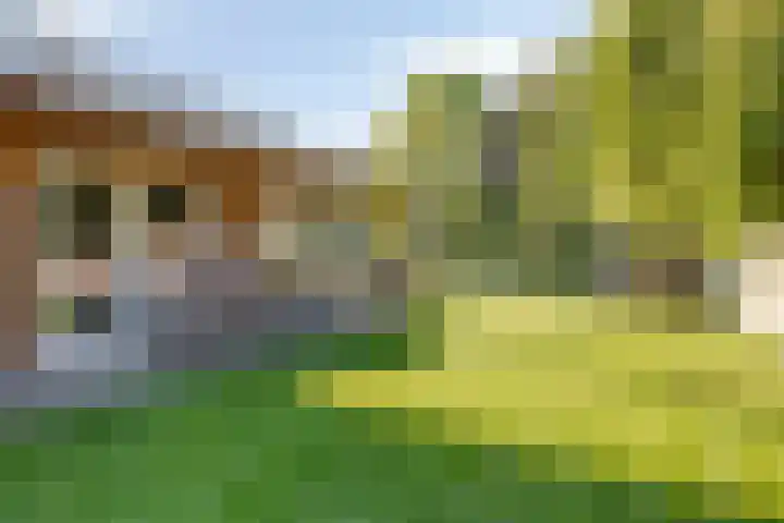 Dinxperlosestraatweg 20 Aalten thumbnail 25