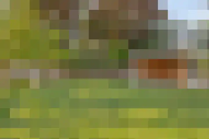 Dinxperlosestraatweg 20 Aalten thumbnail 28