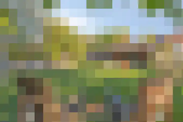 Dinxperlosestraatweg 20 Aalten thumbnail 30