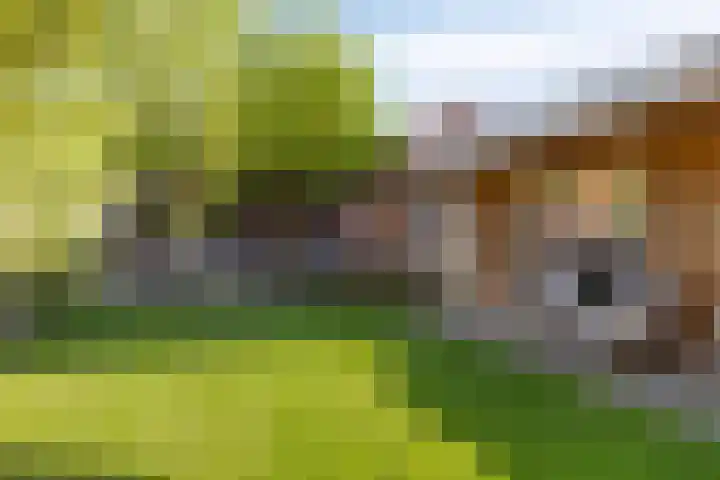 Dinxperlosestraatweg 20 Aalten thumbnail 31