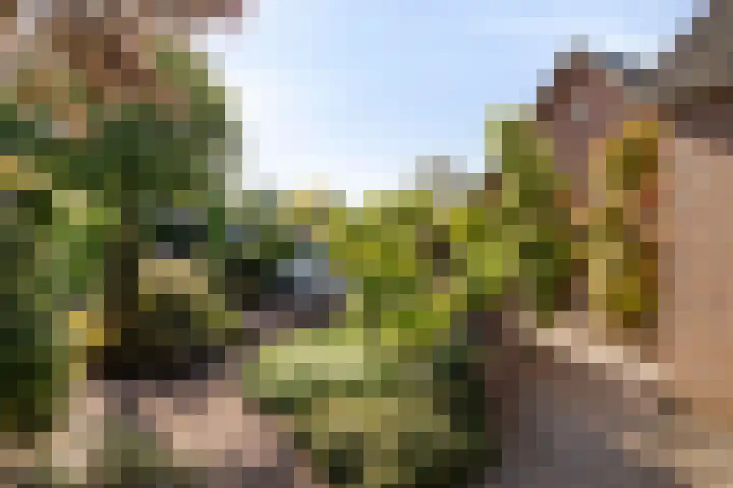 Dinxperlosestraatweg 23 Aalten thumbnail 31