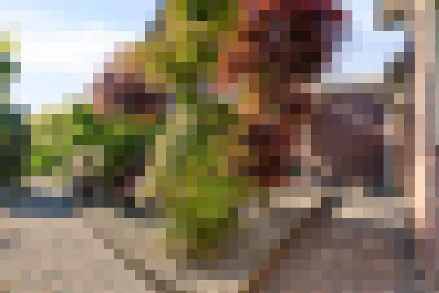 Dinxperlosestraatweg 23 Aalten thumbnail 34