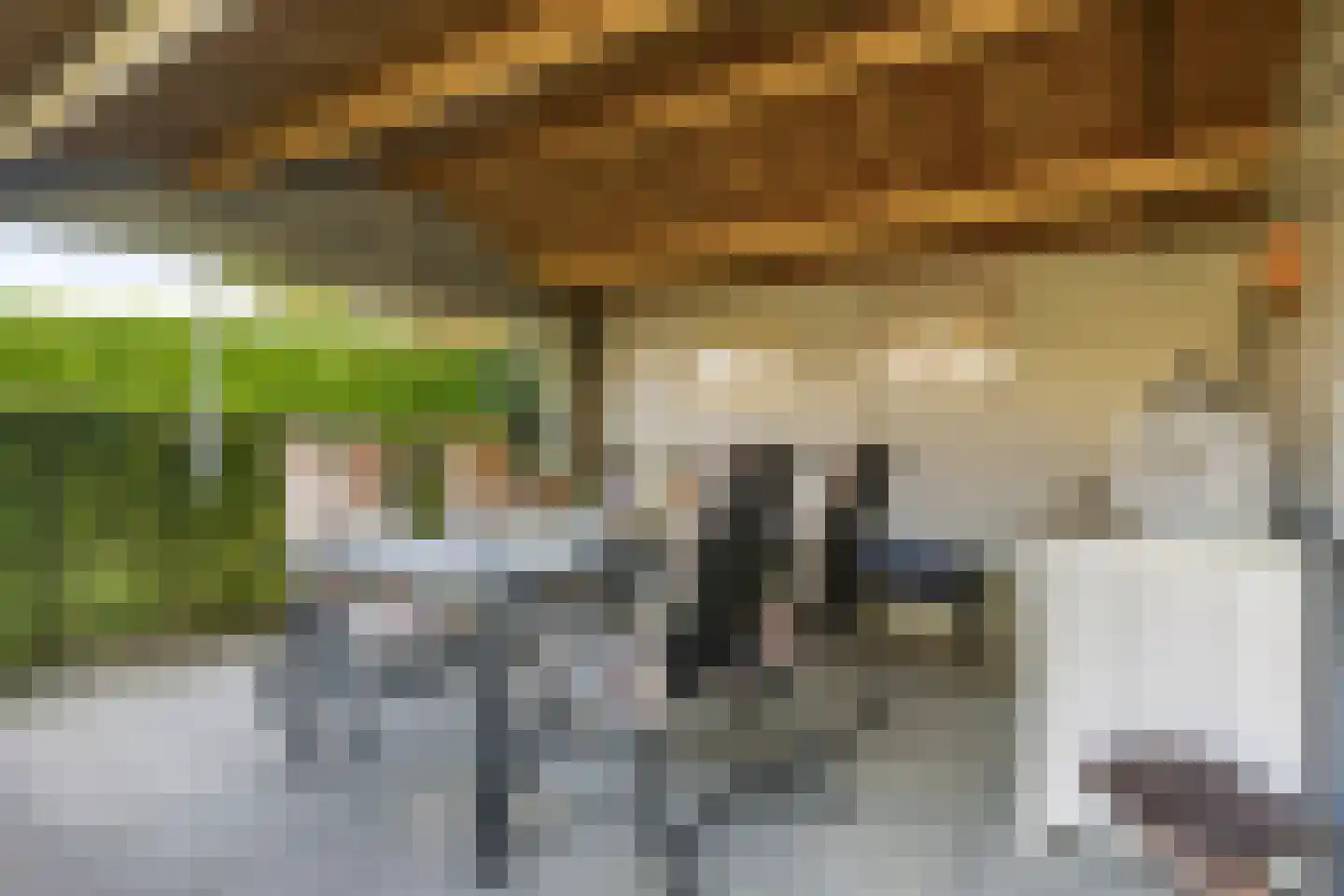 Dinxperlosestraatweg 23 Aalten thumbnail 38