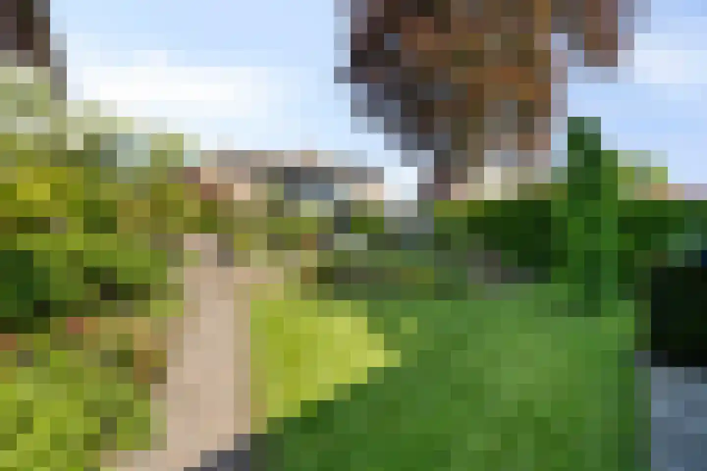 Dinxperlosestraatweg 23 Aalten thumbnail 4