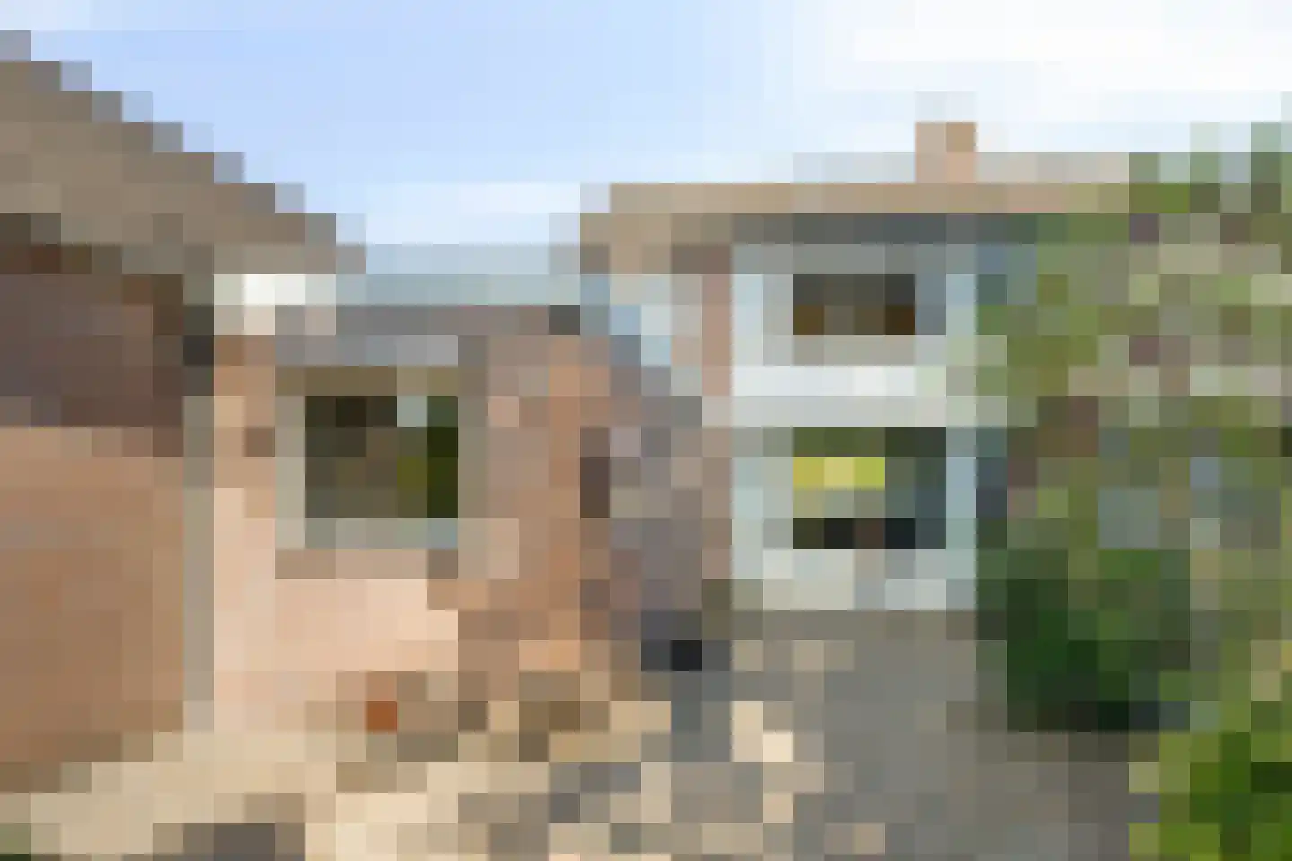 Dinxperlosestraatweg 23 Aalten thumbnail 40