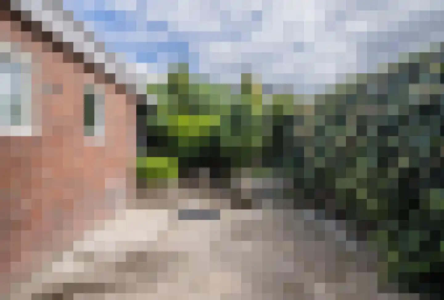 Dinxperlosestraatweg 9 Aalten thumbnail 22
