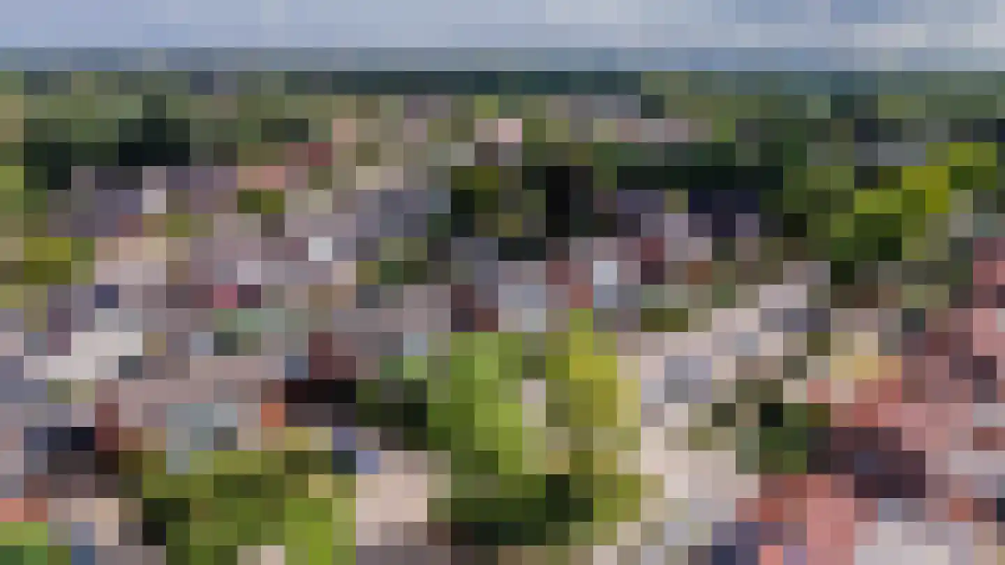 Dinxperlosestraatweg 9 Aalten thumbnail 23