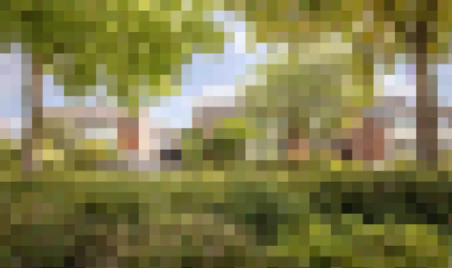 Dinxperlosestraatweg 9 Aalten thumbnail 24