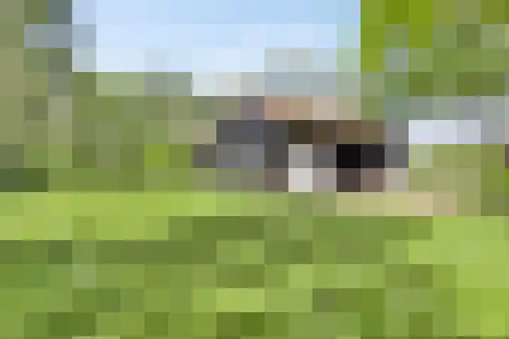 Dinxperlosestraatweg 96 Aalten thumbnail 10
