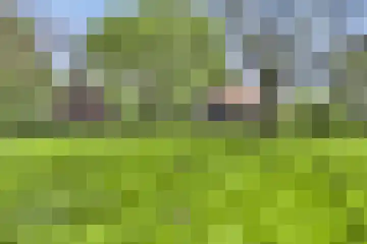 Dinxperlosestraatweg 96 Aalten thumbnail 13