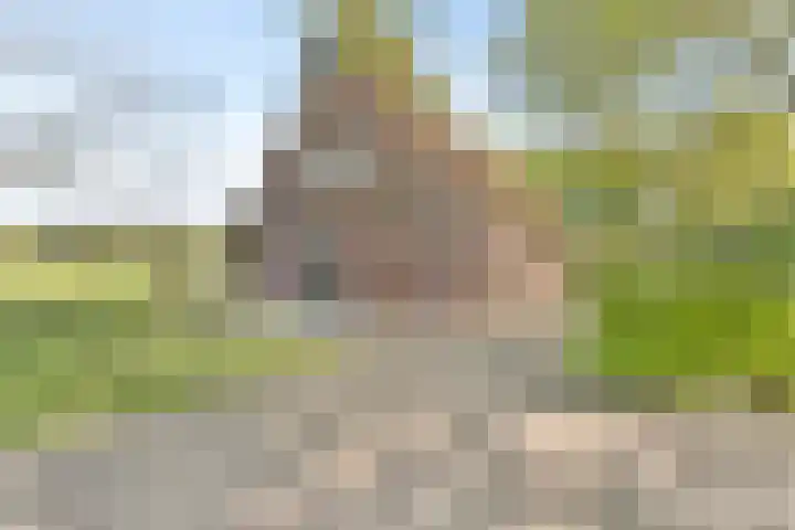 Dinxperlosestraatweg 96 Aalten thumbnail 15