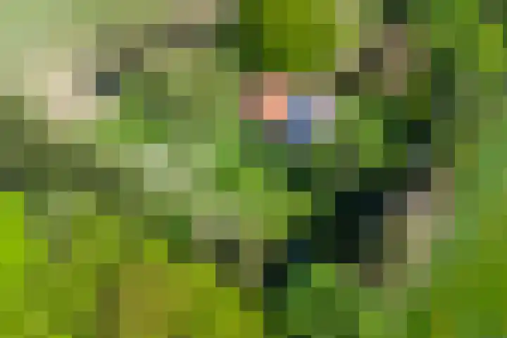 Dinxperlosestraatweg 96 Aalten thumbnail 6