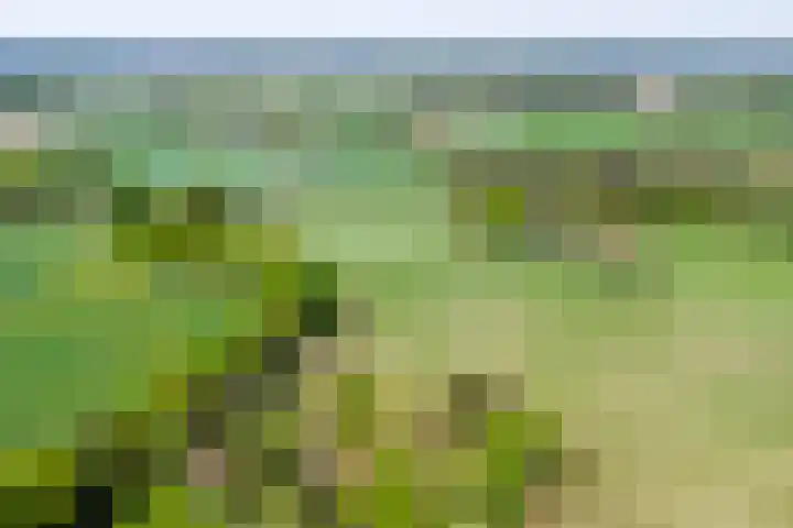 Dinxperlosestraatweg 96 Aalten thumbnail 7